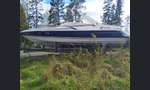 Sunseeker Tomahawk S37-kuva-7