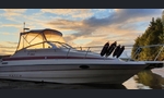 Maxum 2555 SCR-kuva-15