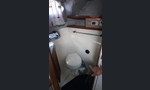 Bayliner 2850 Contessa Sunbridge-kuva-7