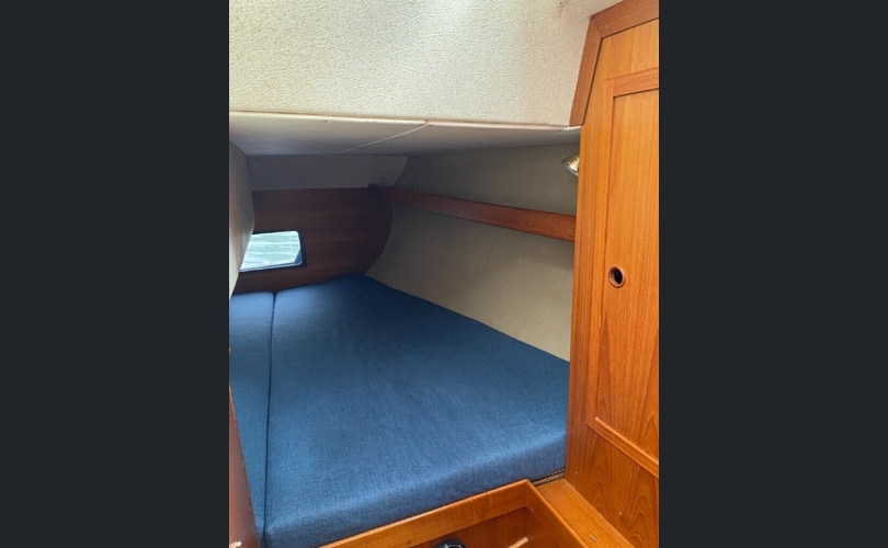 Avance 318-kuva-8