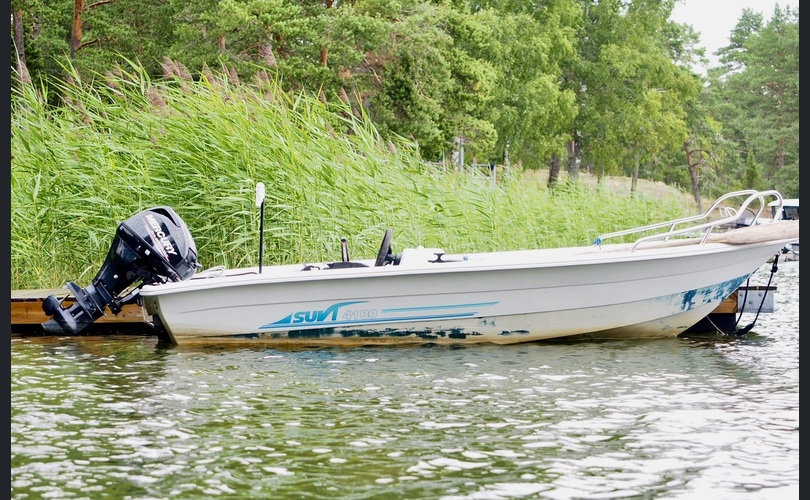 Suvi 4180-kuva-4