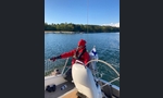Bavaria 31 Cruiser-kuva-15