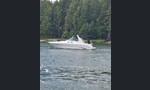 Sea Ray 310 Sundancer-kuva-14