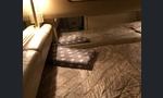 Sea Ray 310 Sundancer-kuva-3