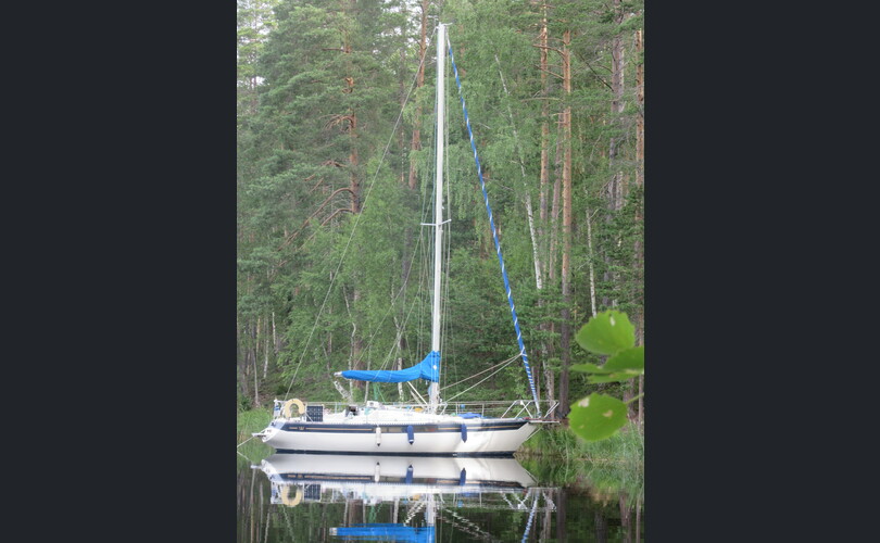 Kings Cruiser 33-kuva-1