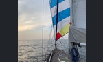 Hallberg-Rassy 312-kuva-12