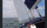 Jeanneau Sun Odyssey 32i-kuva-9
