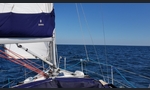 Jeanneau Sun Odyssey 32i-kuva-6