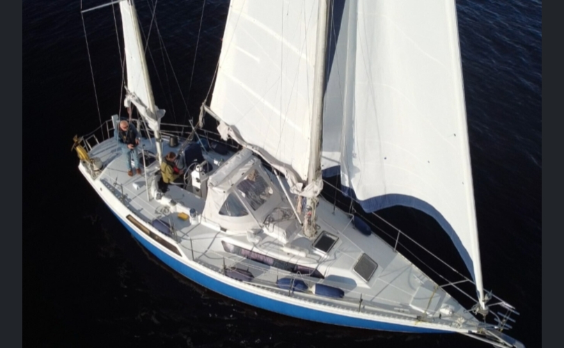 Gib-sea 35 cc ketsi-kuva-19