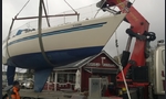 Finngulf SeaKing 34-kuva-3