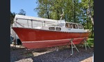 Meriläinen Upoumarunkoinen-kuva-2