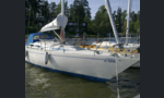 Avance 36 De Luxe-kuva-1