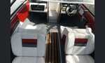Sunbird 150-kuva-1