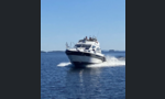 Sealine 310 Statesman-kuva-2