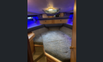 Sealine 310 Statesman-kuva-10
