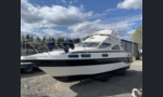 Sealine 310 Statesman-kuva-7