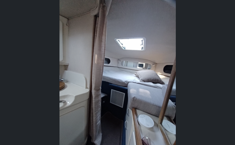 Sea Ray Sundancer 290-kuva-11