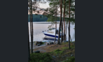 Bayliner 288 Fly-kuva-5