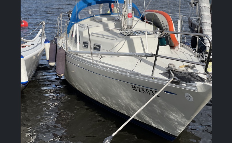 Shipman 28-kuva-2