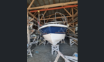 Bella Falcon 26-kuva-3