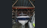 Bella Falcon 26-kuva-7