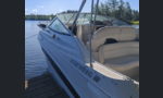 Four Winns 245 Vista-kuva-3