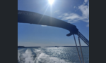 Four Winns 245 Vista-kuva-4