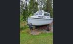 Shippy -