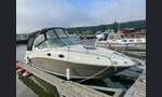 Sea Ray Sea Ray 275