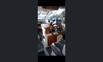 Sea Star Cruiser 7000