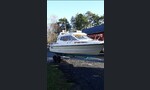 Sea Star Cruiser 7000