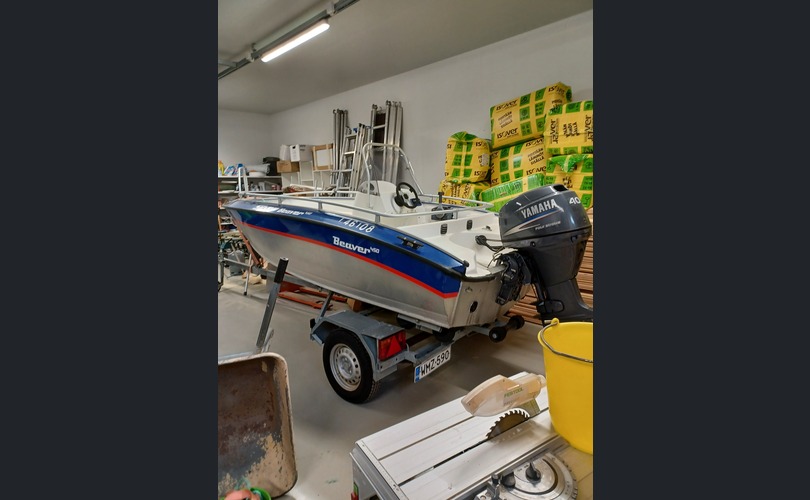 Silver beaver 450