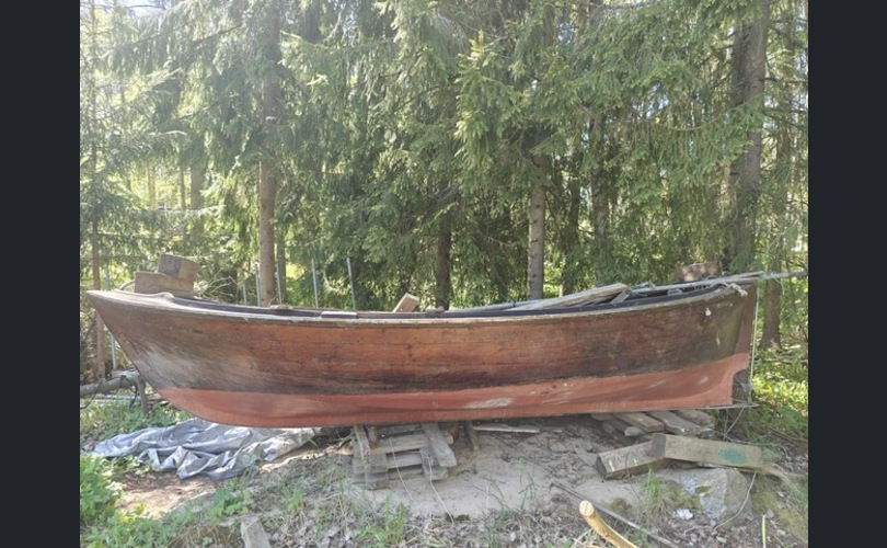 Kumpuselkä kumpuselkålåinen