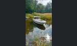 Vihe Fisher S21