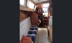 Compass 31