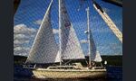 Compass 31
