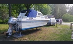 Yamarin 650AC-kuva-3