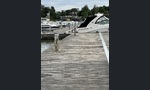 Muu merkki Venepaikkaosake
