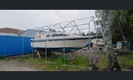 Bayliner 2550 Cierra Sunbridge