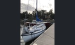 Laurin Koster 28