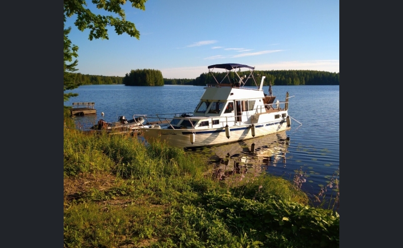 Pinja Pinja-kuva-3
