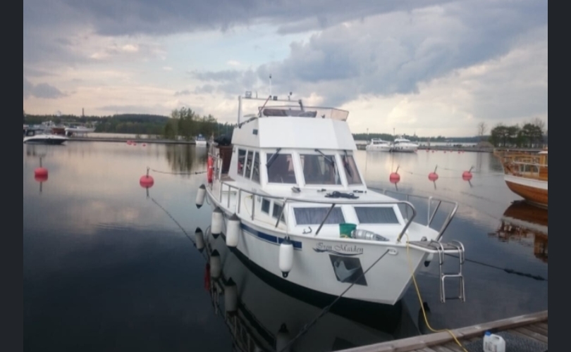 Pinja Pinja-kuva-1
