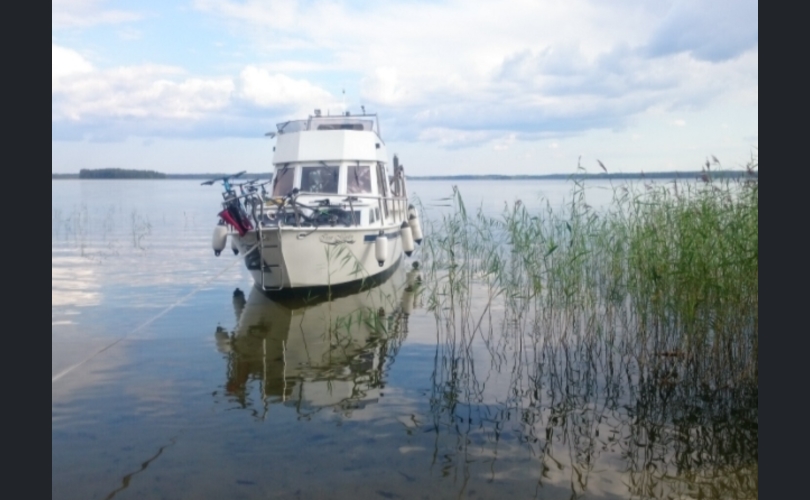 Pinja Pinja-kuva-2