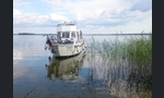 Pinja Pinja-kuva-2