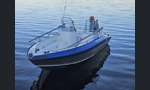 Silver Fox 485 DC-kuva-1