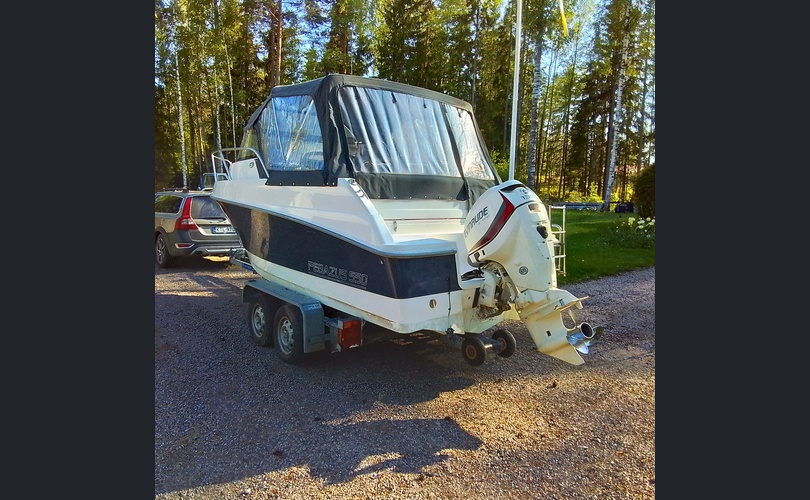 Pegazus 550-kuva-6