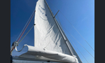 Arabesque 30