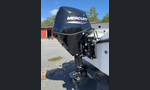 Terhi Nordic 6020C