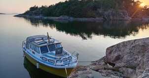 Albatross 26