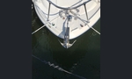 Bayliner 285 SB Cruiser-kuva-4